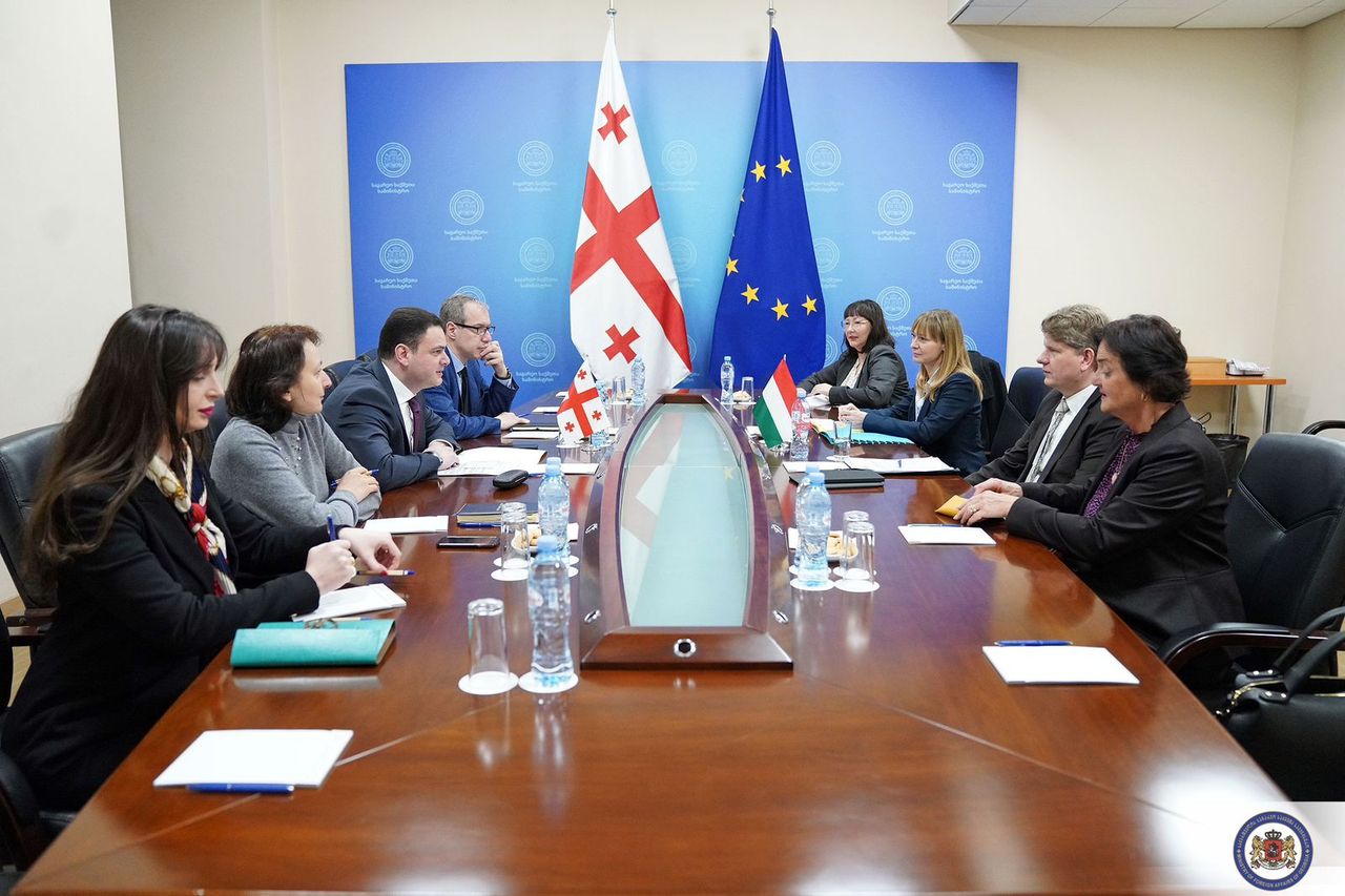  The Deputy Minister of Foreign Affairs of Georgia has met with the delegation of the Ministry of EU Affairs of Hungary