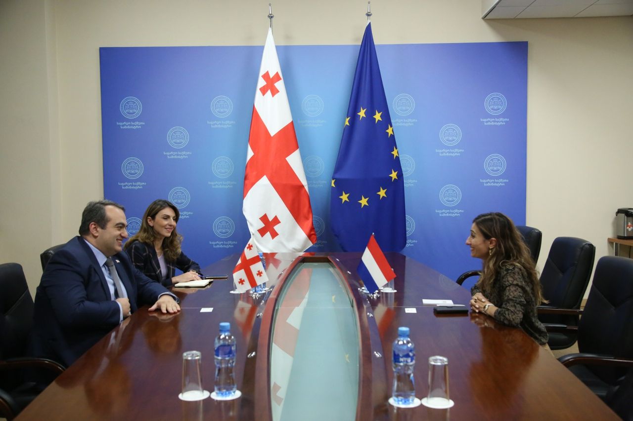 The First Deputy Minister of Foreign Affairs, Lasha Darsalia has met with the Ambassador of the Netherlands to Georgia 