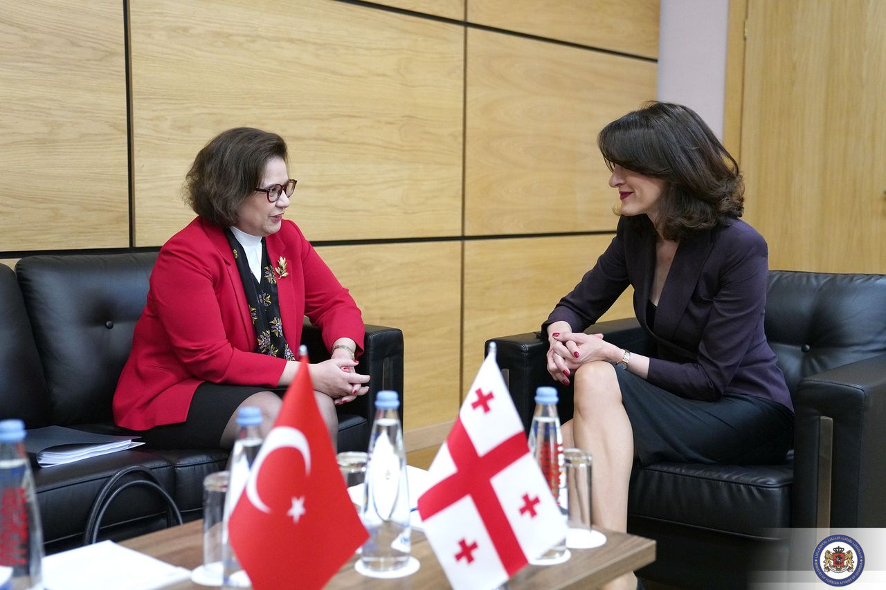 Meeting Between Maka Botchorishvili and the Deputy Minister of Foreign Affairs of Türkiye