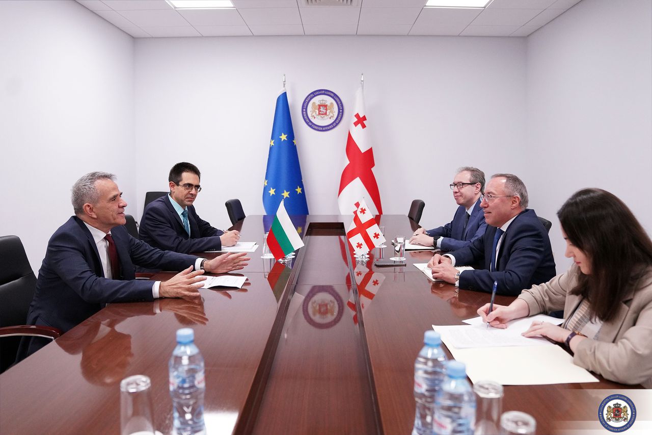 Giorgi Zurabashvili has met with the Ambassador of the Republic of Bulgaria to Georgia