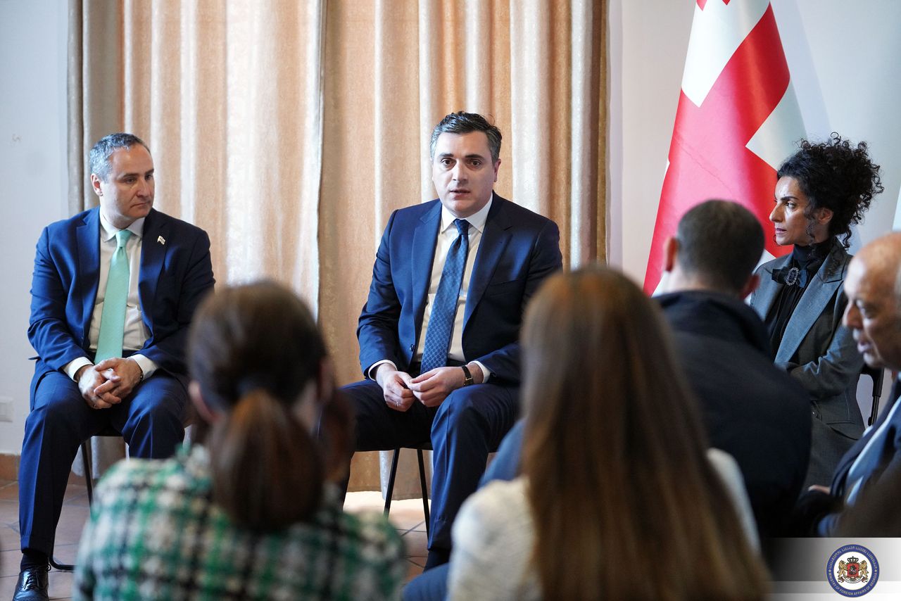 Ilia Darchiashvili meets with representatives of the Georgian diaspora organizations in the Republic of Italy